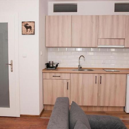 Appartement Apartament Prosta 17/1 à Stary Toruń Extérieur photo